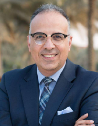 Hon. Pr. Dr. Hanni Sewilam